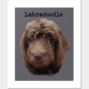 Labradoodle Dog Posters and Art